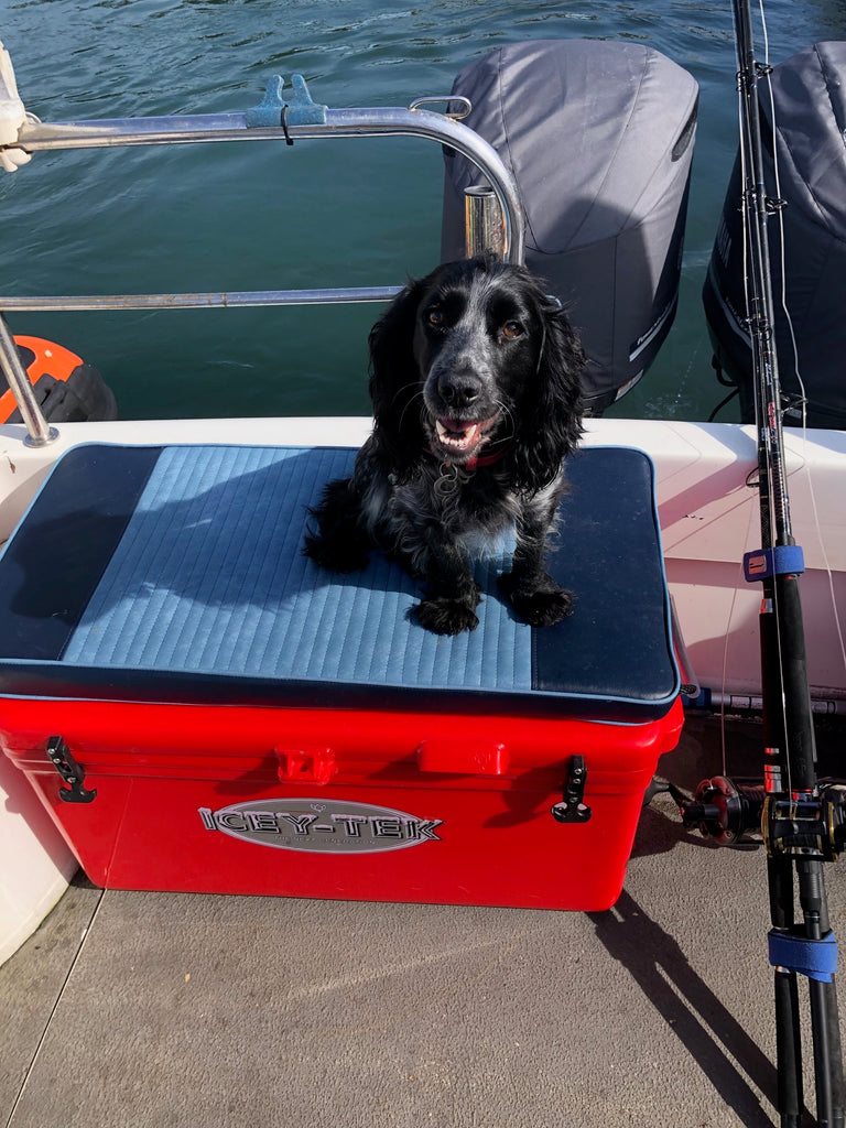 Hot Dog!